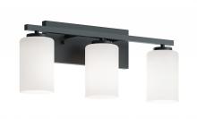 AFX Lighting, Inc. LEOV2209MBBK - Leo 22&#39;&#39; Med Base Vanity,120V,BK