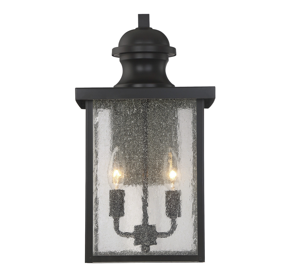 Newberry 2-Light Outdoor Wall Lantern in English Bronze