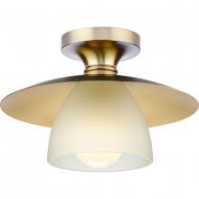 Progress P350233-109 - Trimble Collection One-Light Brushed Bronze 12&#34; Semi-Flush Mount