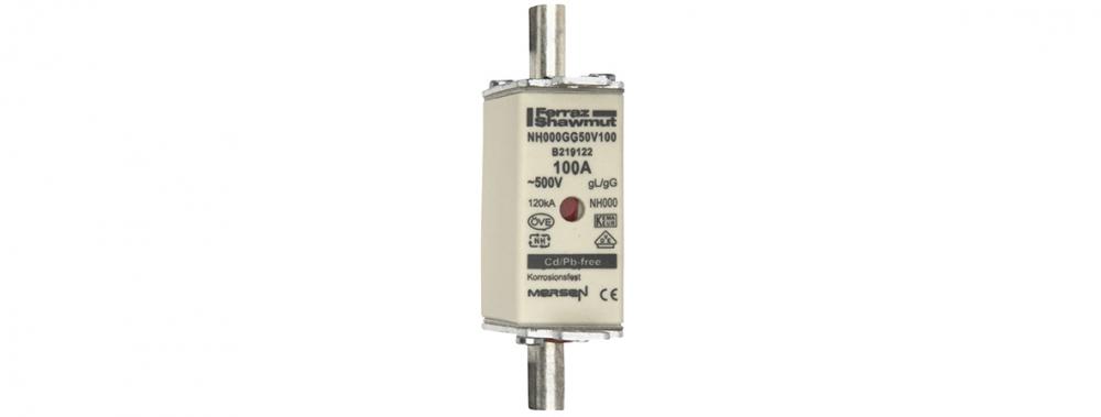 Fuse-link NH000 gG 500VAC 100A live tags Double