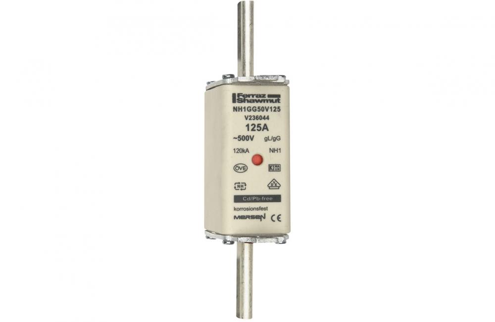 Fuse-link NH1 gG 500VAC 125A live tags Double in