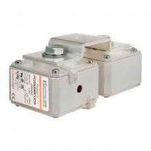 Mersen D300268 - High-Speed Fuse 2x33 aR 690VAC 1250A Striker Flu