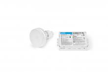 Lutron Electronics 3LDRCF-1K30-1 - CFLEX RPG24Q132V1L8303WKG2