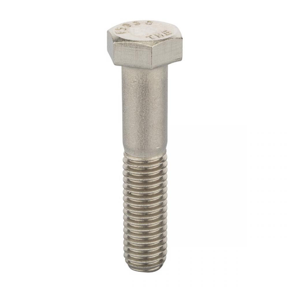 S.S. Bolt 2 1/2&#34;X 1/2&#34;