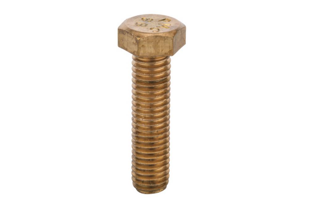 Bronze Bolt 1/2&#34; X 2&#34;