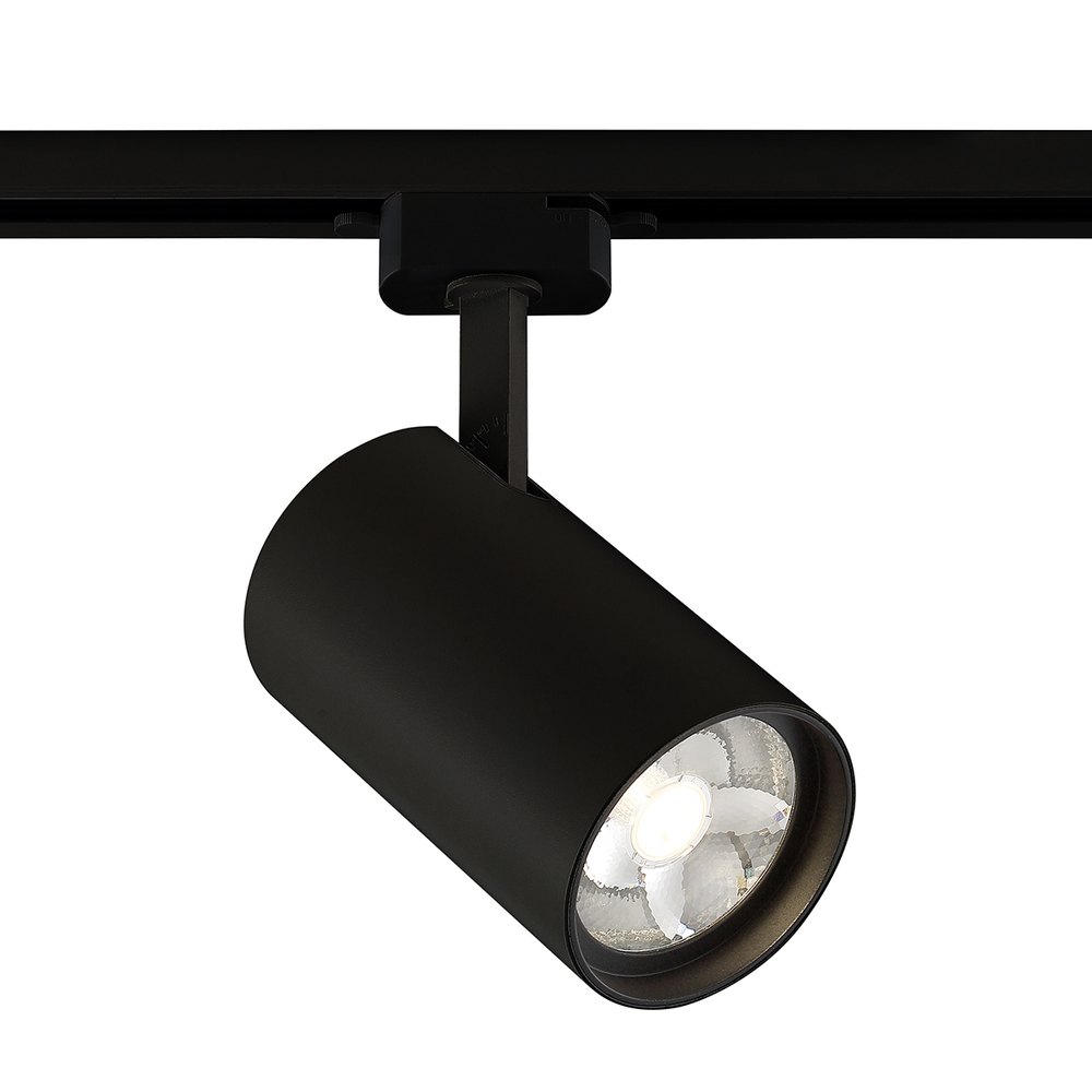 CHARLIE,TRK HEAD,LED,30W,30K,B