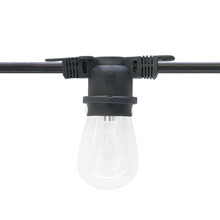 American Lighting LS2-M-24-48-BK - LIGHT STRING 48'
