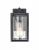 Wheatland 1-Light Outdoor Wall Sconce Powder Coated Black