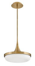 Fredrick Ramond FR35047LCB - Medium LED Convertible Pendant