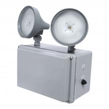 Cooper Lighting Solutions SELIN50R7SD - NEMA4X EM 50 FT 7 WATT REMOTE SD